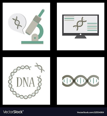 Medical icon set and brain with dna pain and vector image