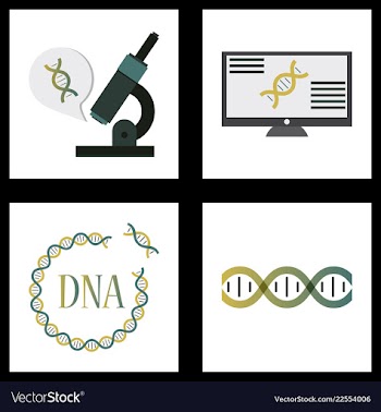 Medical icon set and brain with dna pain and vector image