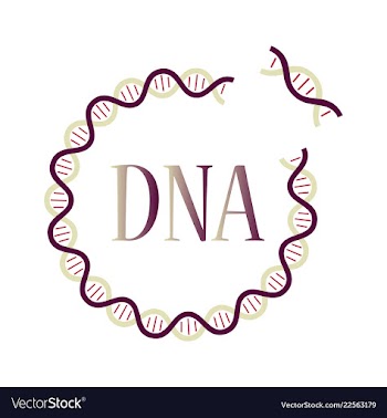 Medical icon set and brain with dna pain and vector image
