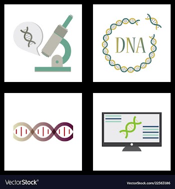 Medical icon set and brain with dna pain and vector image