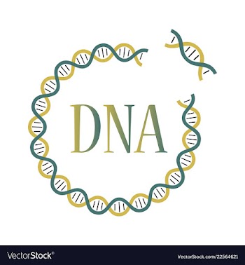Medical icon set and brain with dna pain and vector image