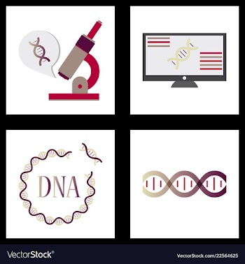 Medical icon set and brain with dna pain and vector image