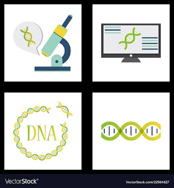 Medical icon set and brain with dna pain and vector image