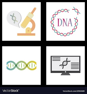 Medical icon set and brain with dna pain and vector image