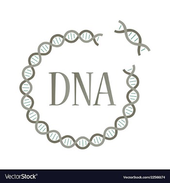 Medical icon set and brain with dna pain and vector image