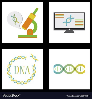 Medical icon set and brain with dna pain and vector image
