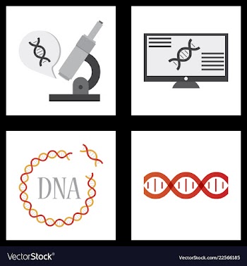 Medical icon set and brain with dna pain and vector image
