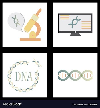 Medical icon set and brain with dna pain and vector image