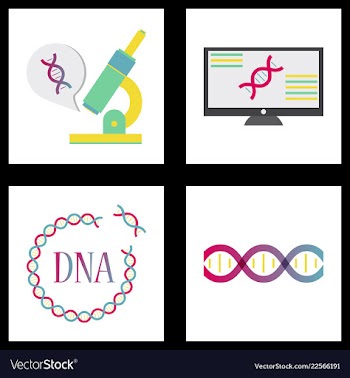 Medical icon set and brain with dna pain and vector image