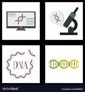Medical icon set and brain with dna pain and vector image