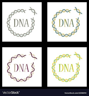 Medical icon set and brain with dna pain and vector image