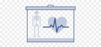 Medical Legal Illustration - Graphics