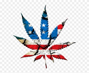 Medical Marijuana Inc - State Marijuana Legalization: Issues And Effects