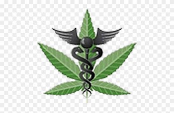 Medical Marijuana Symbol Image - Medical Marijuana Logo