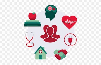 Medical / - Market Segmentation