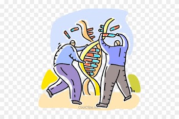 Medical Research Royalty Free Vector Clip Art Illustration - Innato Y Adquirido