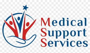 Medical Support Services Inc - Medical Support Services Inc