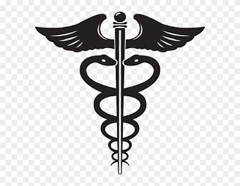 Medical Symbol With Two Snakes And Large Wings - Rod Of Asclepius Vs Caduceus