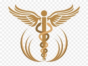 Medical Symbols And Their Meanings Download - Caduceu Logo
