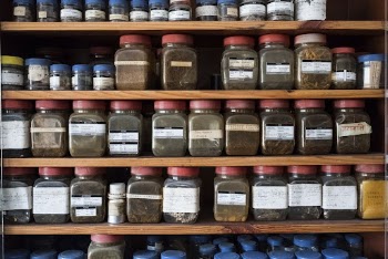 Medicinal herb samples in a shop. | Free Photo - rawpixel
