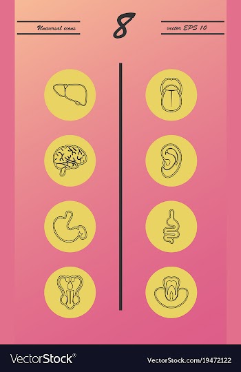 Medicine and health care thin icons set vector image