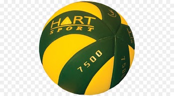 Medicine Balls Volleyball Bicast leather - printable volleyball drills coaching 