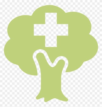 Medicine Clipart Nature's - Clip Art