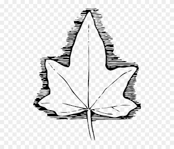 Medicine Outline, Leaf, Cartoon, Template, Poison, - Blad Skabelon