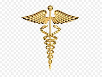 Medicine Staff of Hermes Symbol Physician Clip art - Gold plate 