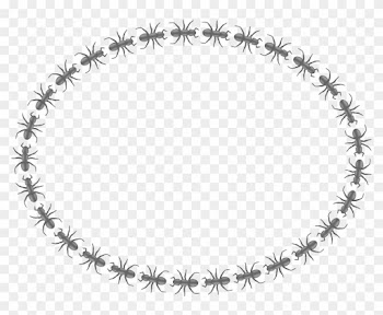 Medium Image - Border Designs Black And White