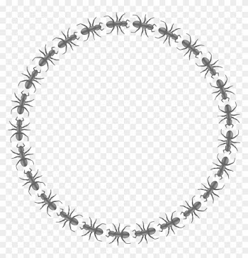 Medium Image - Circle Border Design Black And White