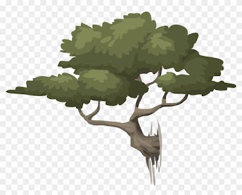 Medium Image - Free Illustration Coppiced Woods Trees Free