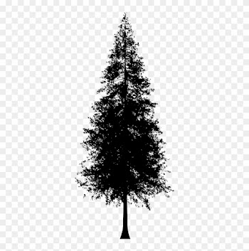 Medium Image - Redwood Tree Silhouette Vector