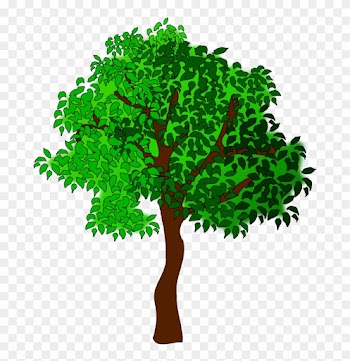 Medium Image - Trees In Summer Clipart