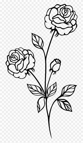 Medium Size Of How To Draw A Simple Rose Tattoo Drawing - Clip Art Black And White Rose