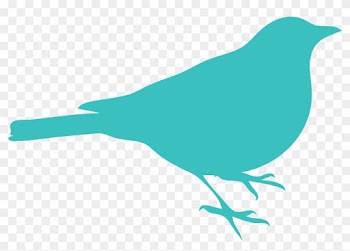 Medium Turquoise Bird Clipart Png - Bird Silhouette Clip Art