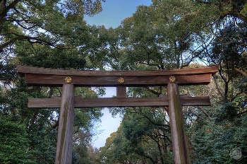Meiji Jingu Torii gate, Tokyo. | Free Photo - rawpixel