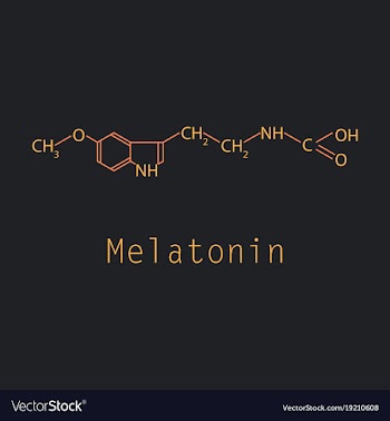 Melatonin hormone molecule in humans it plays a vector image