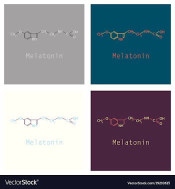Melatonin hormone molecule in humans it plays a vector image