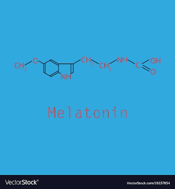 Melatonin hormone molecule in humans it plays a vector image