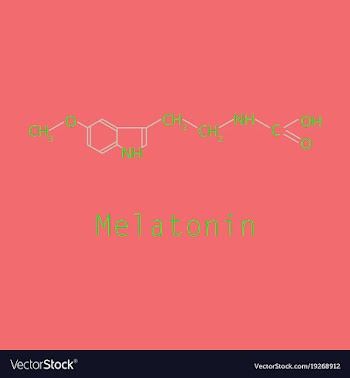 Melatonin hormone molecule in humans it plays a vector image