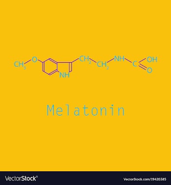 Melatonin hormone molecule in humans it plays a vector image
