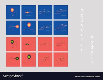 Melatonin hormone molecule in humans it plays a vector image