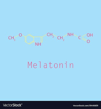 Melatonin hormone molecule in humans it plays a vector image