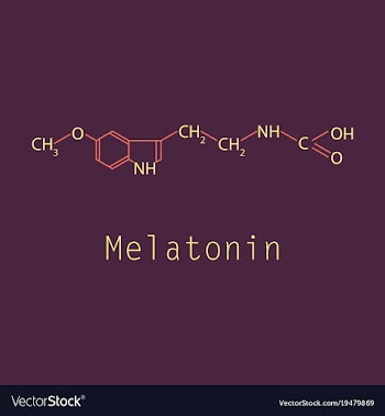 Melatonin hormone molecule in humans it plays a vector image