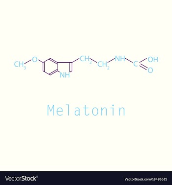 Melatonin hormone molecule in humans it plays a vector image