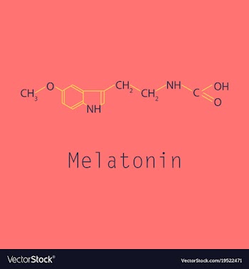 Melatonin hormone molecule in humans it plays a vector image