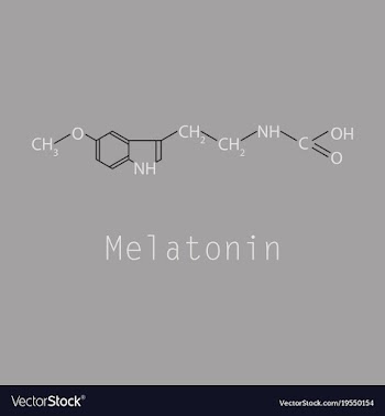 Melatonin hormone molecule in humans it plays a vector image