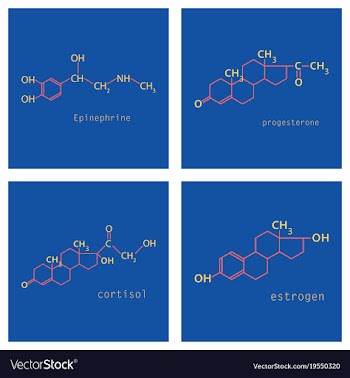 Melatonin hormone molecule in humans it plays a vector image