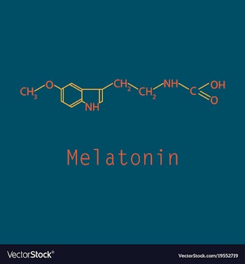 Melatonin hormone molecule in humans it plays a vector image